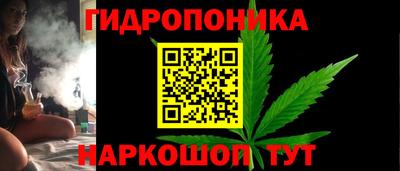 шишки Краснознаменск