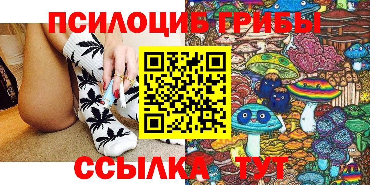 Псилоцибиновые грибы мицелий Дубна