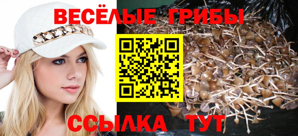 Псилоцибиновые грибы мухоморы  Вход с VPN  Галлюциногенные грибы прущие грибы  Дубна 
